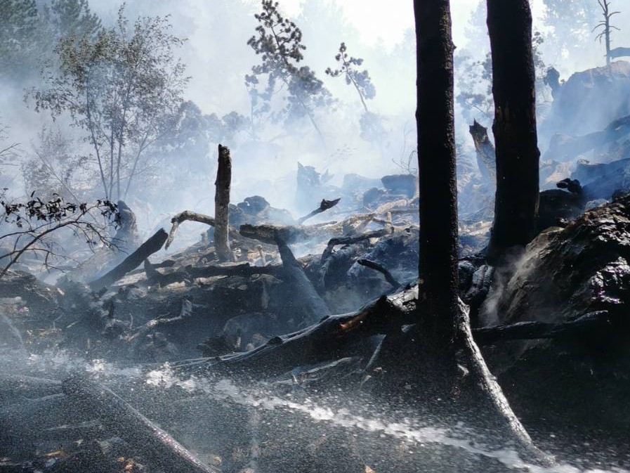 Na Blidinju je angažirano više od 200 vatrogasaca iz cijele zemlje